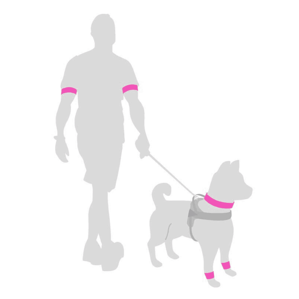 Mann mit Hund an der Leine, beide mit pinkfarbener Armbinde und grauen Konturen, symbolisieren Sichtbarkeit.