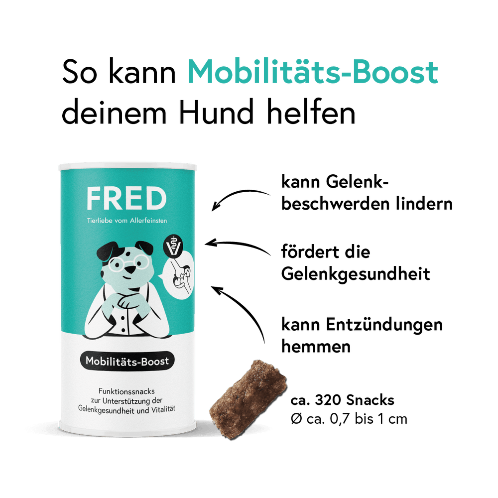 Funktionssnack Mobilitäts-Boost für Hunde in praktischer Dose zur Unterstützung der Gelenkgesundheit und Beweglichkeit.