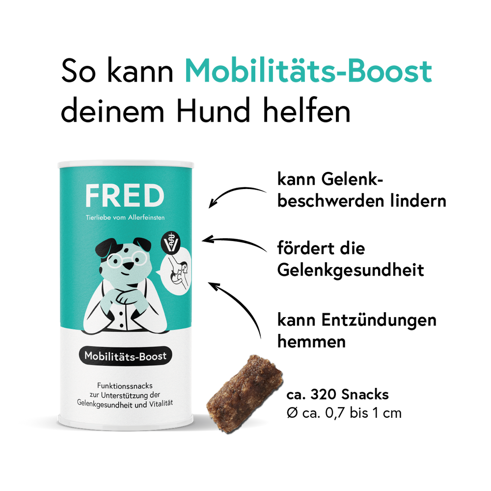 Funktionssnack Mobilitäts-Boost für Hunde in praktischer Dose zur Unterstützung der Gelenkgesundheit und Beweglichkeit.