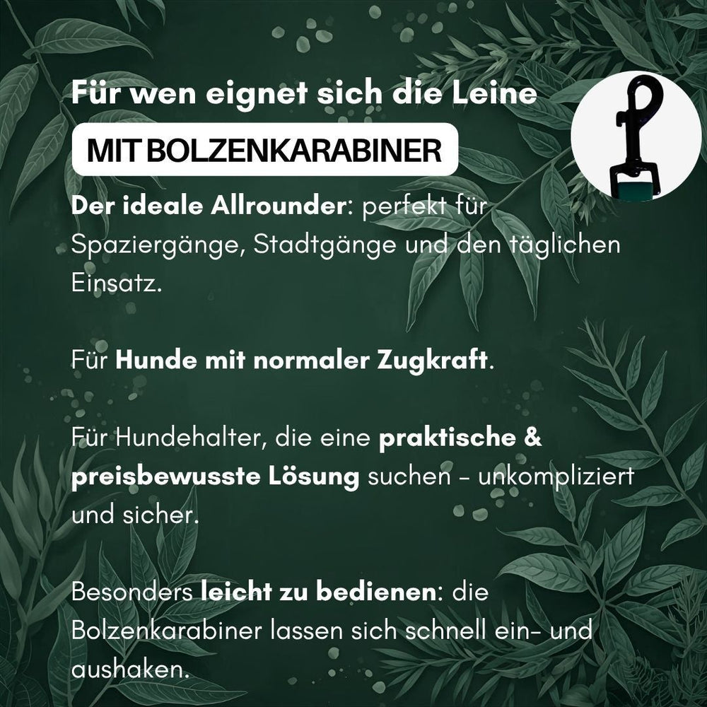 Führleine WOOFLEX® Classic verstellbar für Hunde, ideal für Spaziergänge und sicheren täglichen Einsatz.