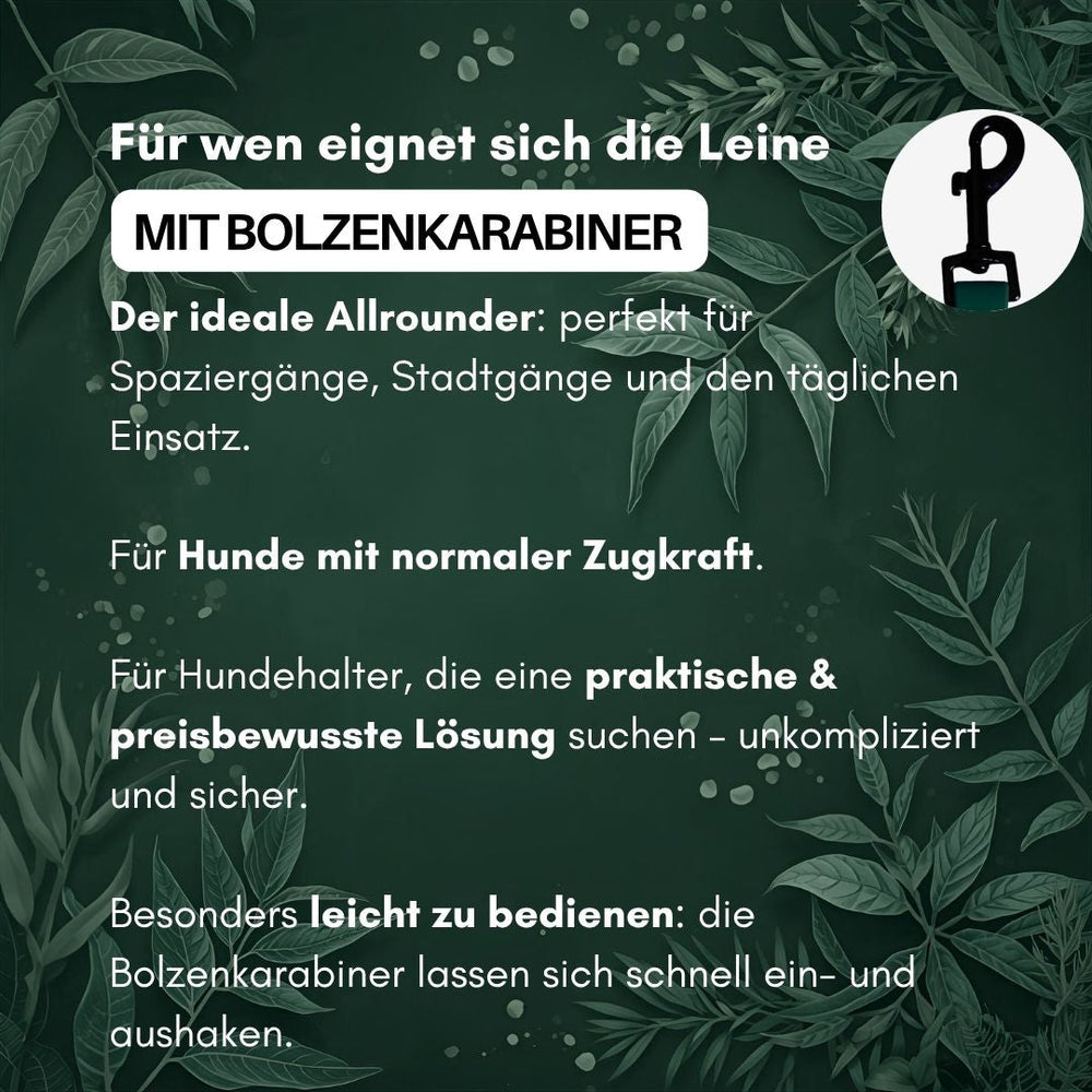 Verstellbare WOOFLEX® Classic Hundeleine mit Bolzenkarabiner, ideal für Spaziergänge und den täglichen Einsatz.