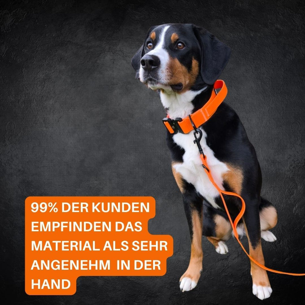 Verstellbare WOOFLEX® Classic Führleine in Gebrauch mit einem Hund im orangefarbenen Geschirr auf einfarbiger Fläche.
