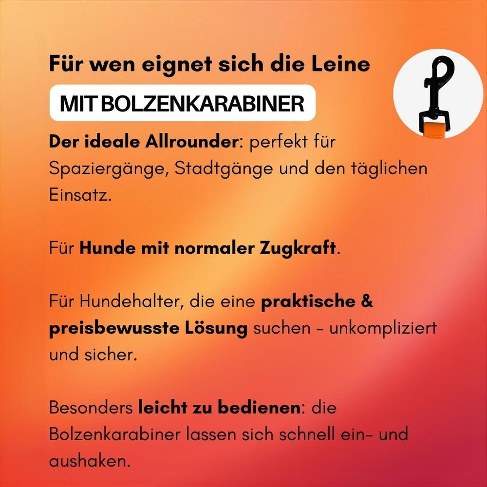 Verstellbare WOOFLEX® Classic Hundeleine mit Bolzenkarabiner, ideal für Spaziergänge und den täglichen Einsatz.