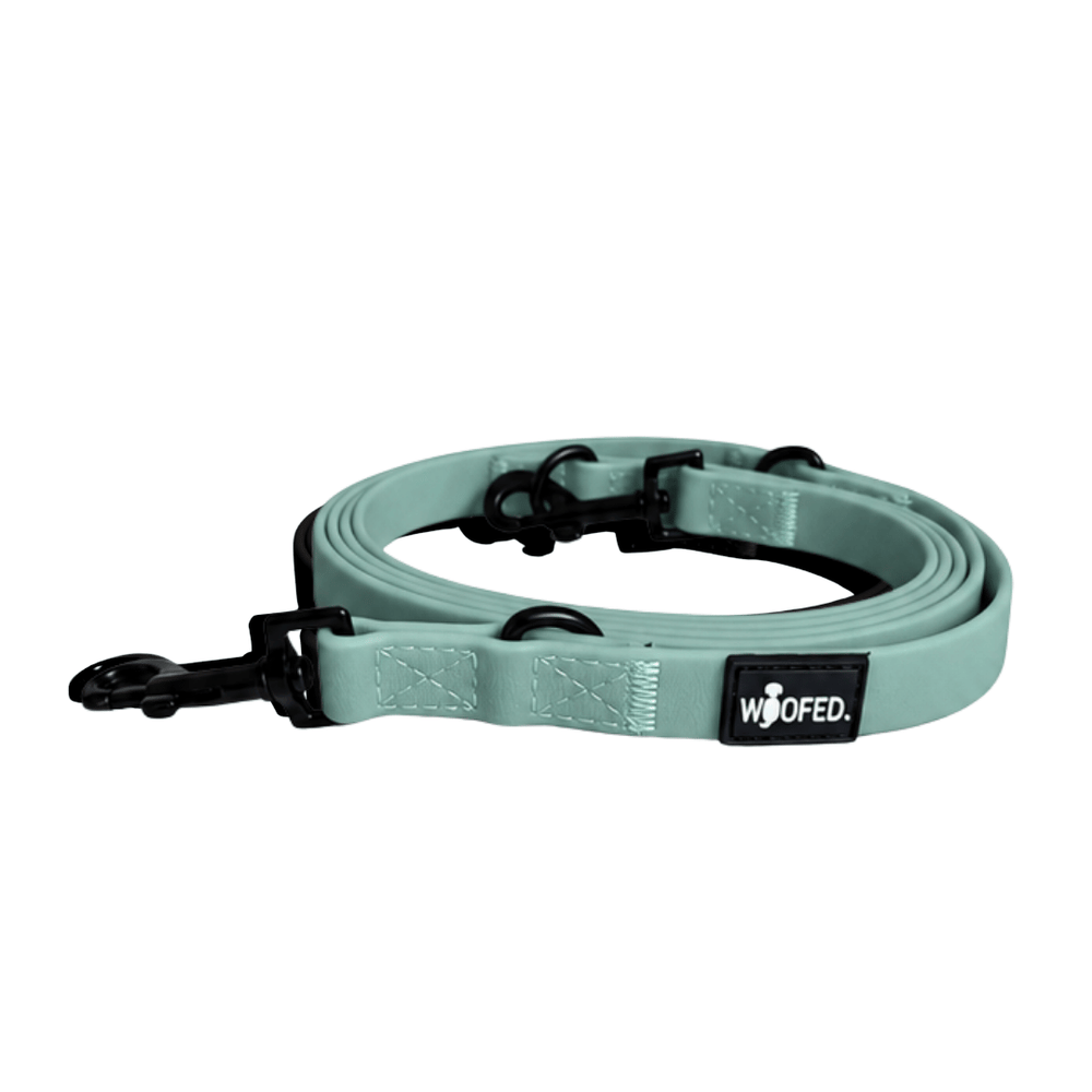 Sanfte Mintgrüne Hundeleine WOOFLEX® Classic mit robustem Karabiner und vielseitigen Befestigungsmöglichkeiten.