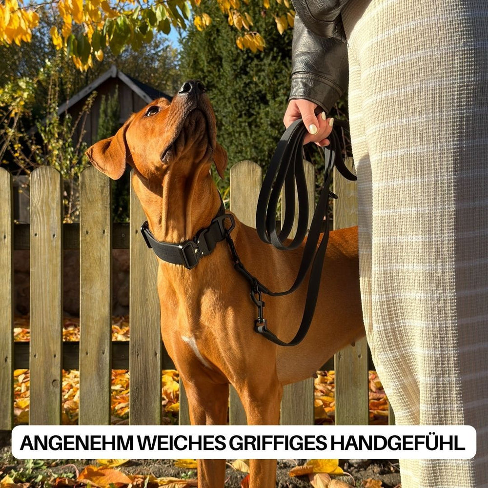 Ein brauner Hund blickt nach oben, während eine Person in einem schwarzen Mantel die verstellbare WOOFLEX® Classic Führleine hält.