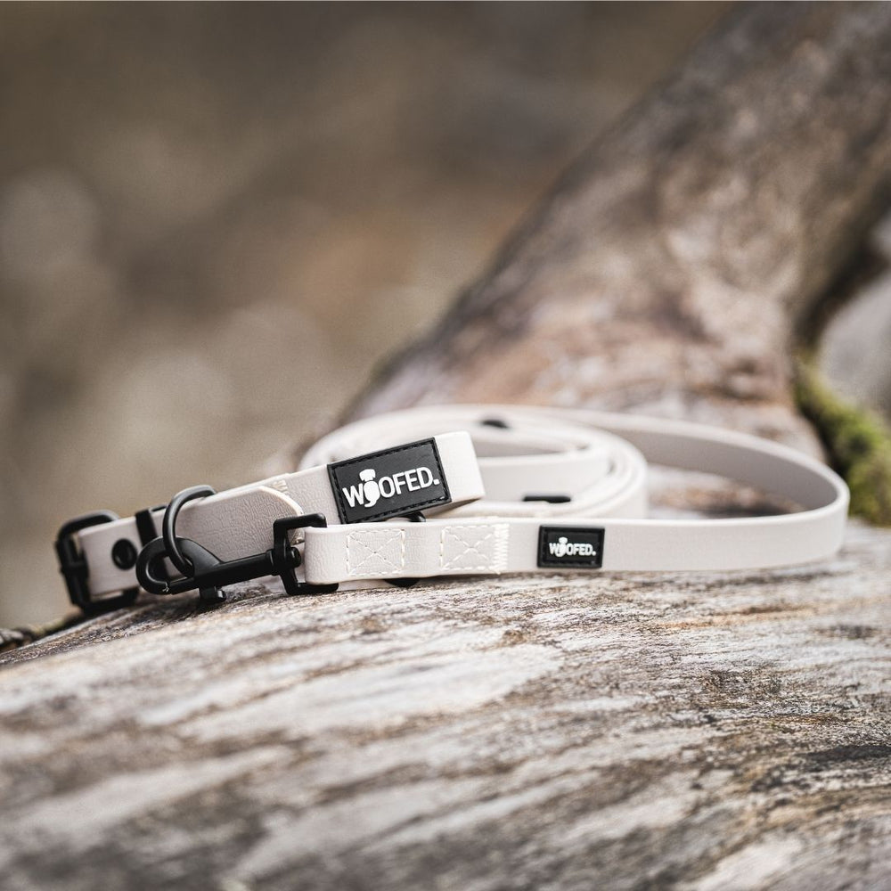 Verstellbare WOOFLEX® Classic Hundeleine in neutralen Farben auf einem Baumstamm mit "woofed." Logo.