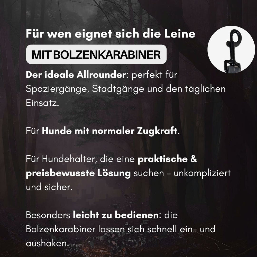 Verstellbare WOOFLEX® Classic Hundeleine mit Bolzenkarabiner, ideal für Spaziergänge und Stadtgänge mit kräftigen Hunden.