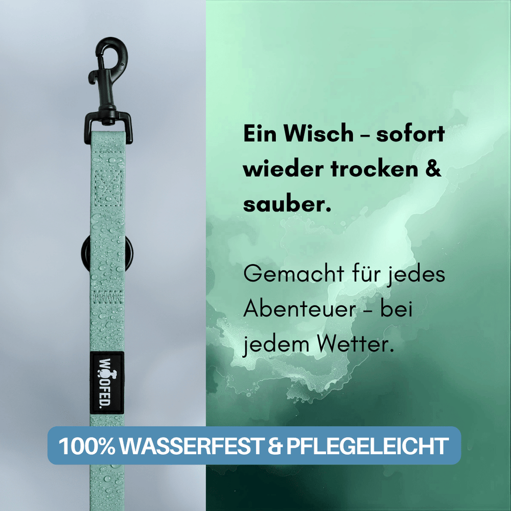 Leicht wasserfester Wischmopp in sanftem Grünton mit stabilem Griff und Haken, bewirbt Pflegeleichtigkeit und Effizienz.
