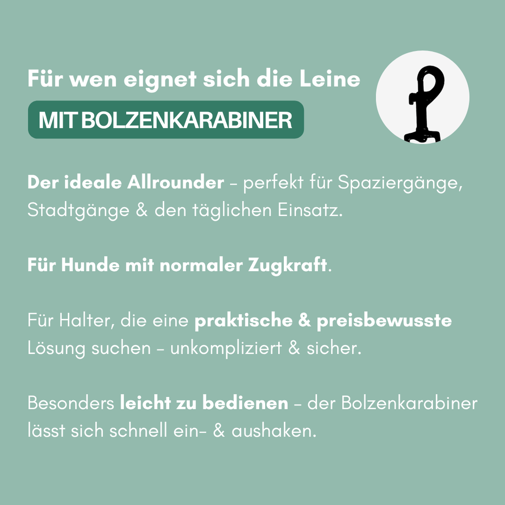 Hundeleine WOOFLEX® Classic mit Bolzenkarabiner, ideal für Spaziergänge mit Hunden und für den täglichen Einsatz.