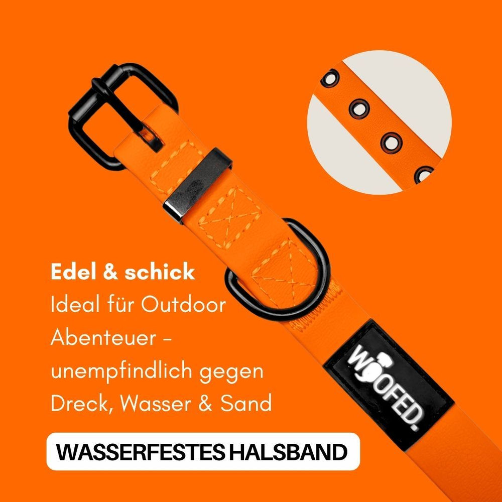 Verstellbares orangefarbenes Halsband WOOFLEX® Classic, wasserfest, mit schwarzer Schnalle und runden Lochausschnitten.