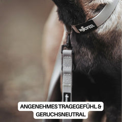 Verstellbares WOOFLEX® Classic Hundehalsband und Leine in neutralen Farben mit WOOFED-Logo. Angenehmes Tragegefühl.