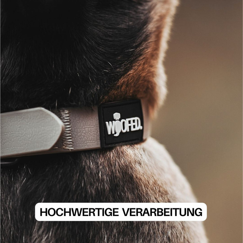 Verstellbares WOOFLEX® Classic Hundehalsband mit hochwertiger Schnalle und Etikett, elegant am Hund getragen.
