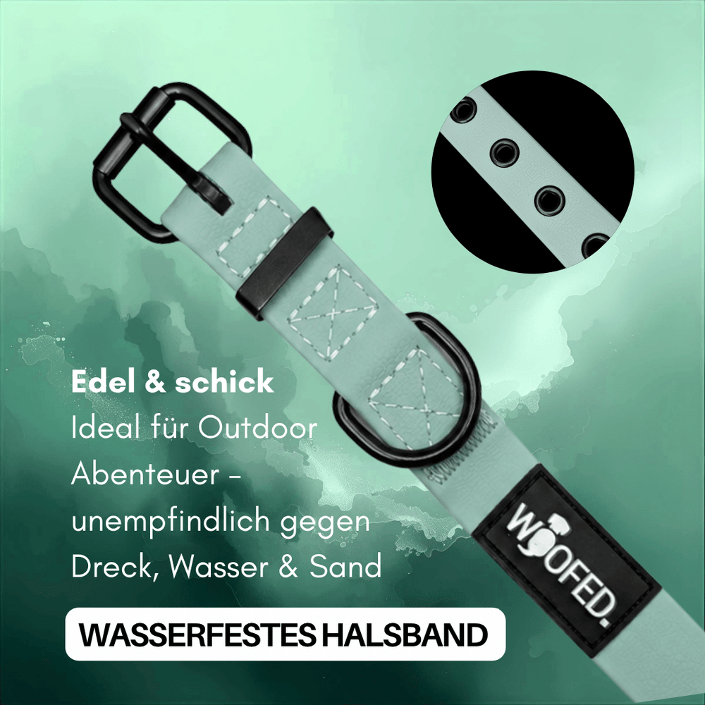 "Wasserfestes mintgrünes WOOFLEX® Classic Halsband mit stabiler Schnalle und Regulierungsösen für Hunde."