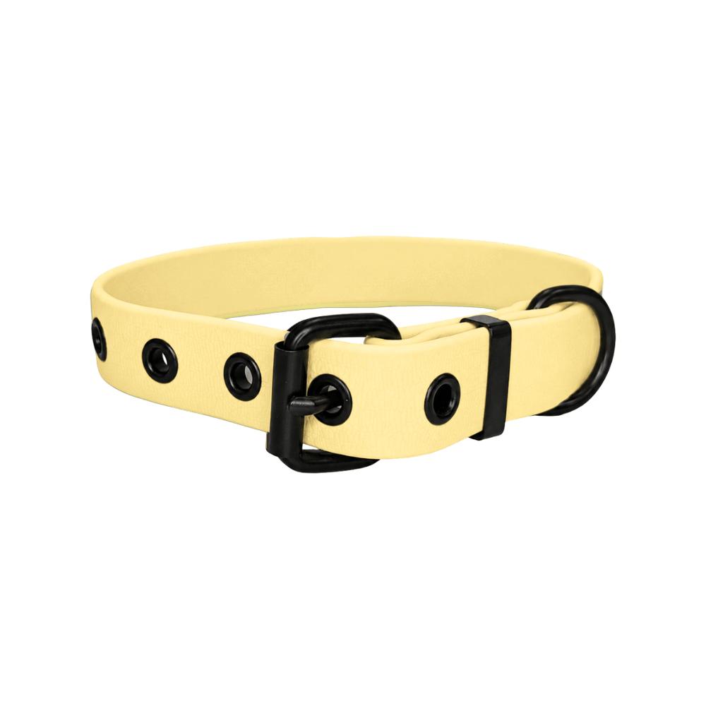Verstellbares WOOFLEX® Classic Halsband in gelb mit schwarzen Schnallen, ideal für Hunde und bequem im Tragen.