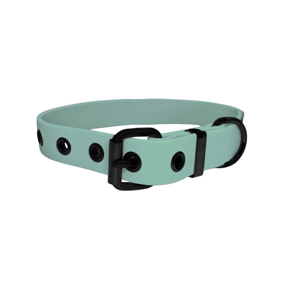 Mintgrünes verstellbares Halsband WOOFLEX® Classic mit schwarzen Schnallen und strapazierfähiger Oberfläche.