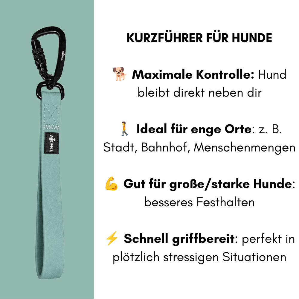 Mintgrüner Kurzführer WOOFLEX® für Hunde, ideal für enge Orte und bietet maximale Kontrolle für große und starke Tiere.