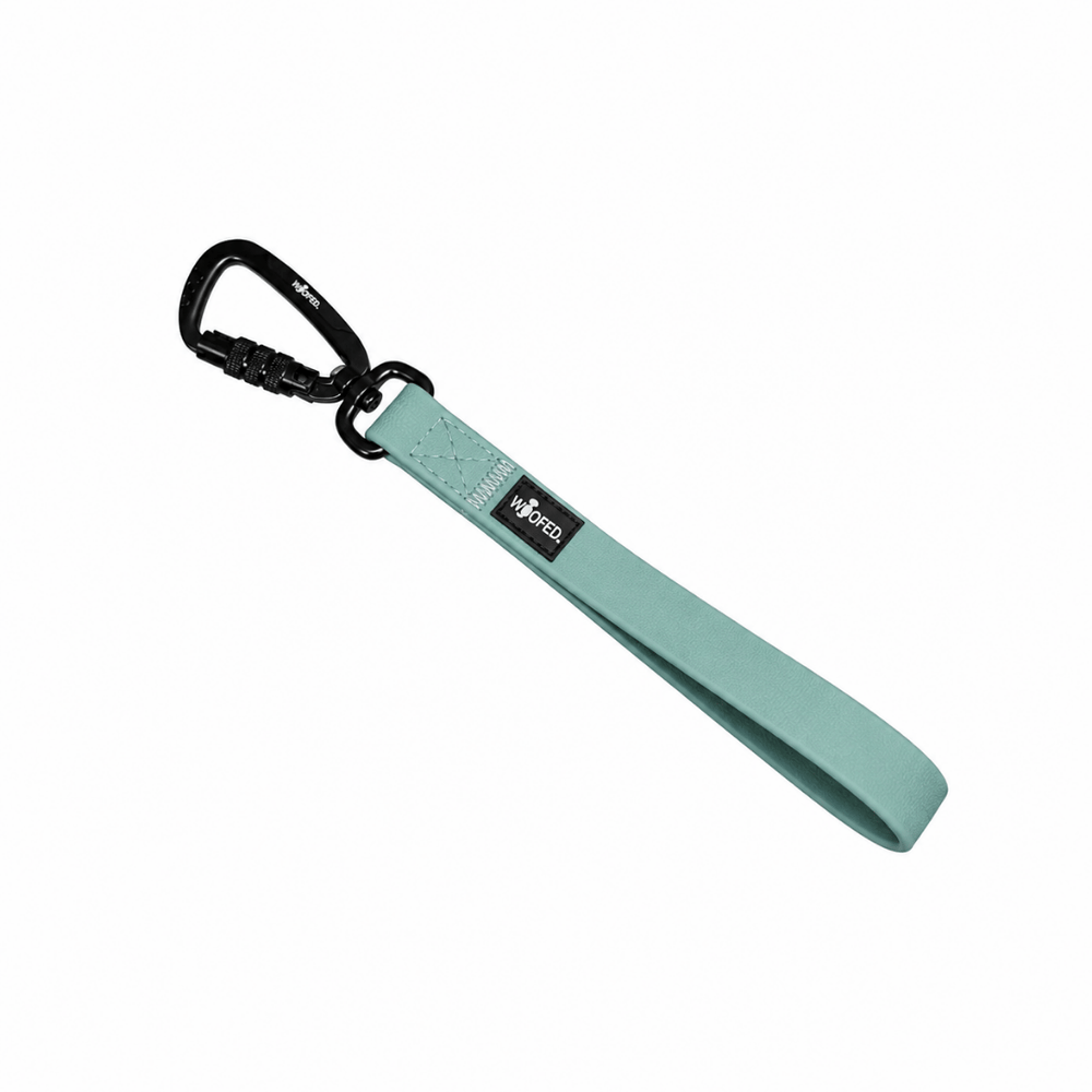 Mintgrüne WOOFLEX® Hundeleine mit schwarzem Karabiner und komfortablem Handgriff, robust und funktional.