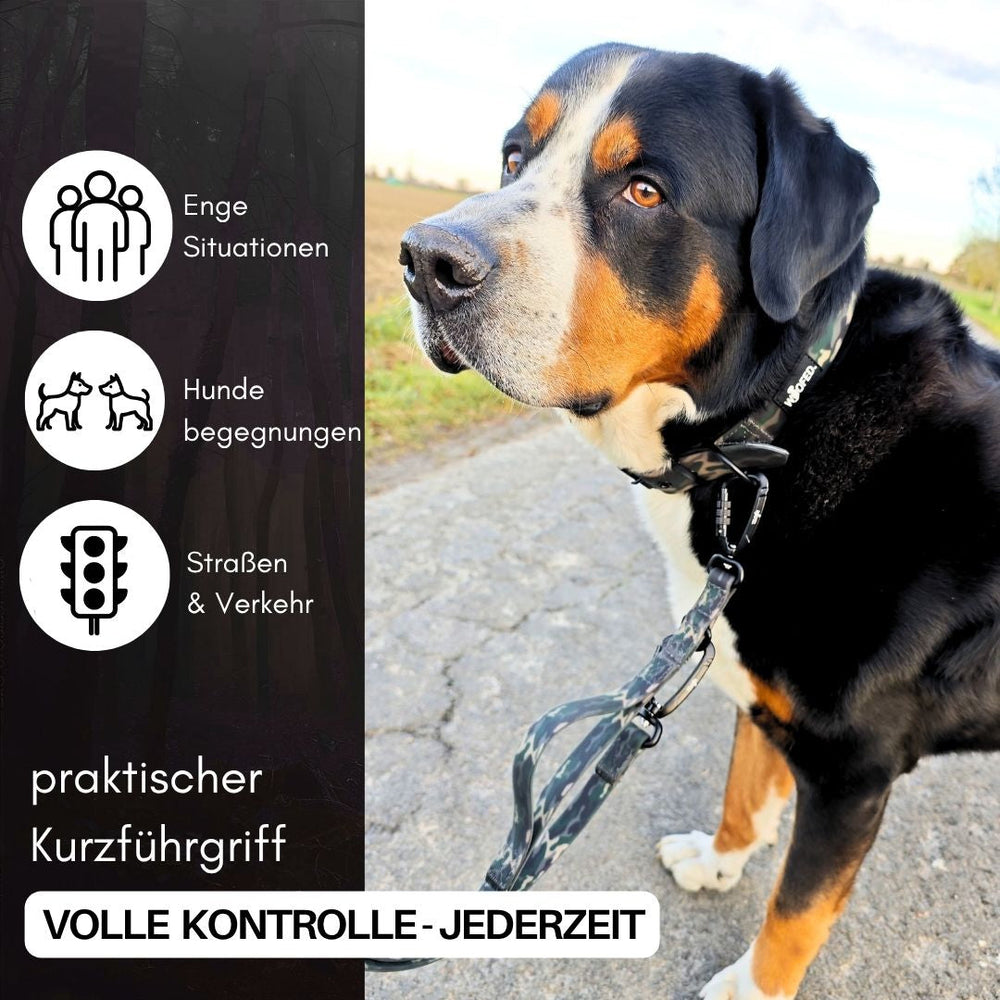 Hund mit WOOFLEX® Führleine und Sicherheitskarabiner in einer urbanen Umgebung, umgeben von Verkehrs- und Hundesymbolen.