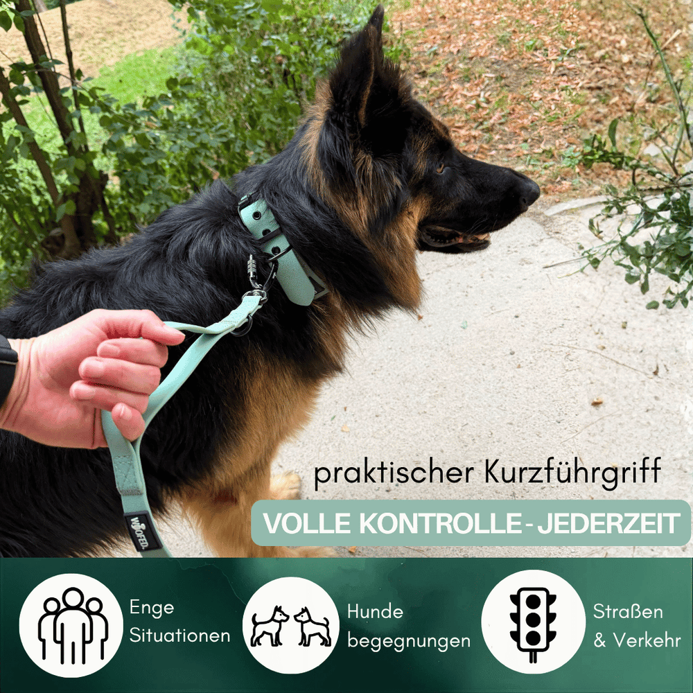 "Ein Deutscher Schäferhund an einer mintgrünen WOOFLEX® Pro Führleine mit kurzem Griff neben seinem Besitzer."