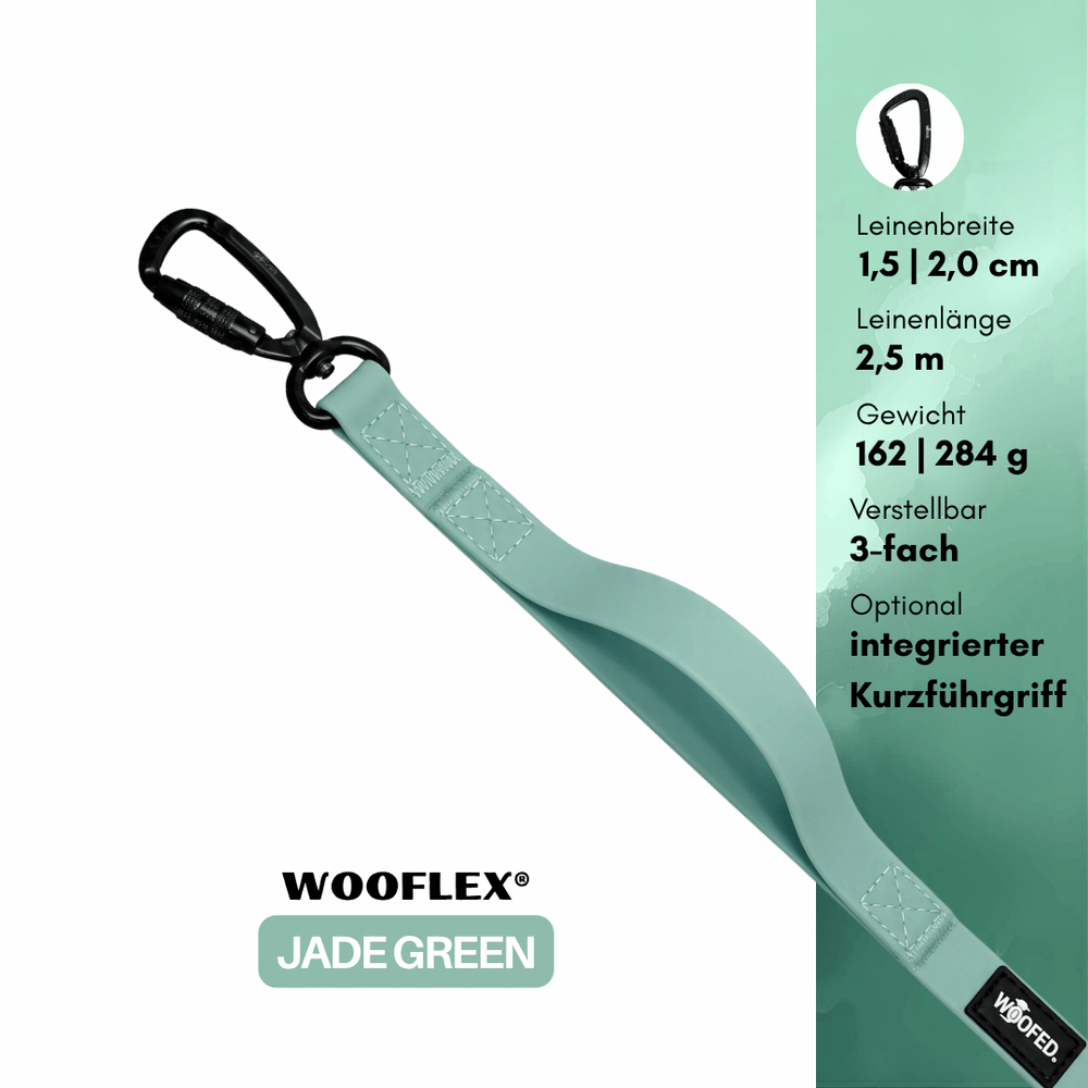 Jadegrüne 3-fach verstellbare Hundeleine WOOFLEX® Pro, 1,5 cm breit und 2,5 m lang. Perfekt für Spaziergänge mit Ihrem Hund.