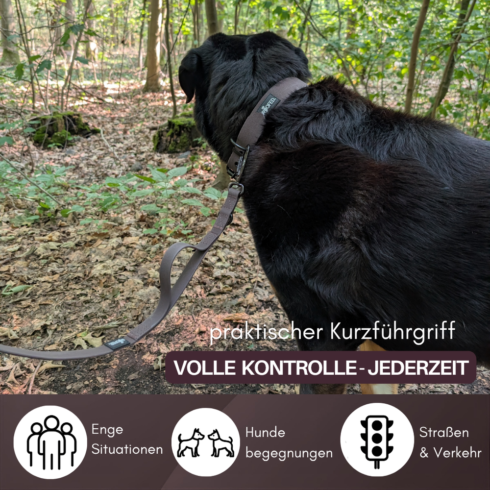 Hund im Wald mit WOOFLEX® Pro Führleine und Geschirr mit Kurzführgriff. Praktisch für sichere Spaziergänge.