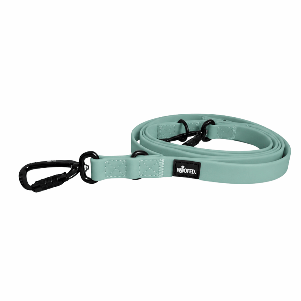 Mintgrüne WOOFLEX® Pro Hundeleine aus flexiblem Material mit robustem Karabinerclip und schwarzem Etikett.