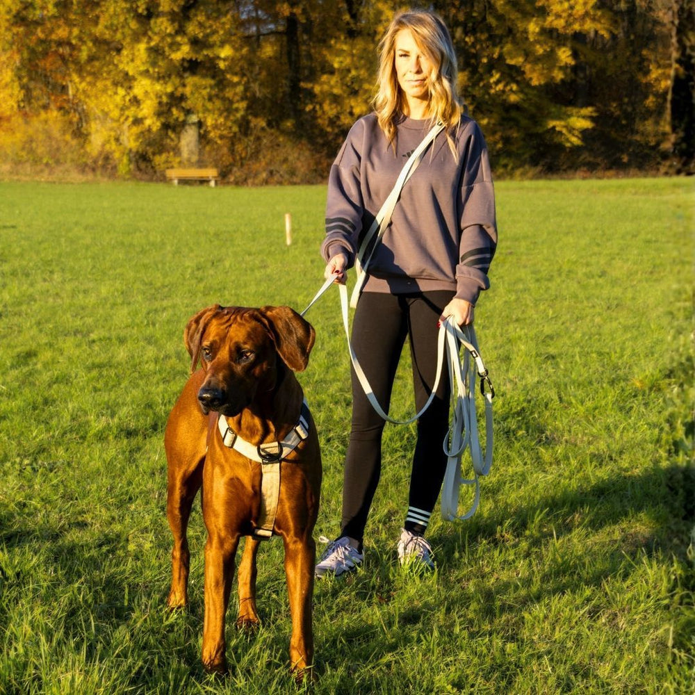 Frau im Park mit braunem Hund an WOOFLEX® Schleppleine und Sicherheitskarabiner, grau-weißer Pullover, schwarze Leggings.