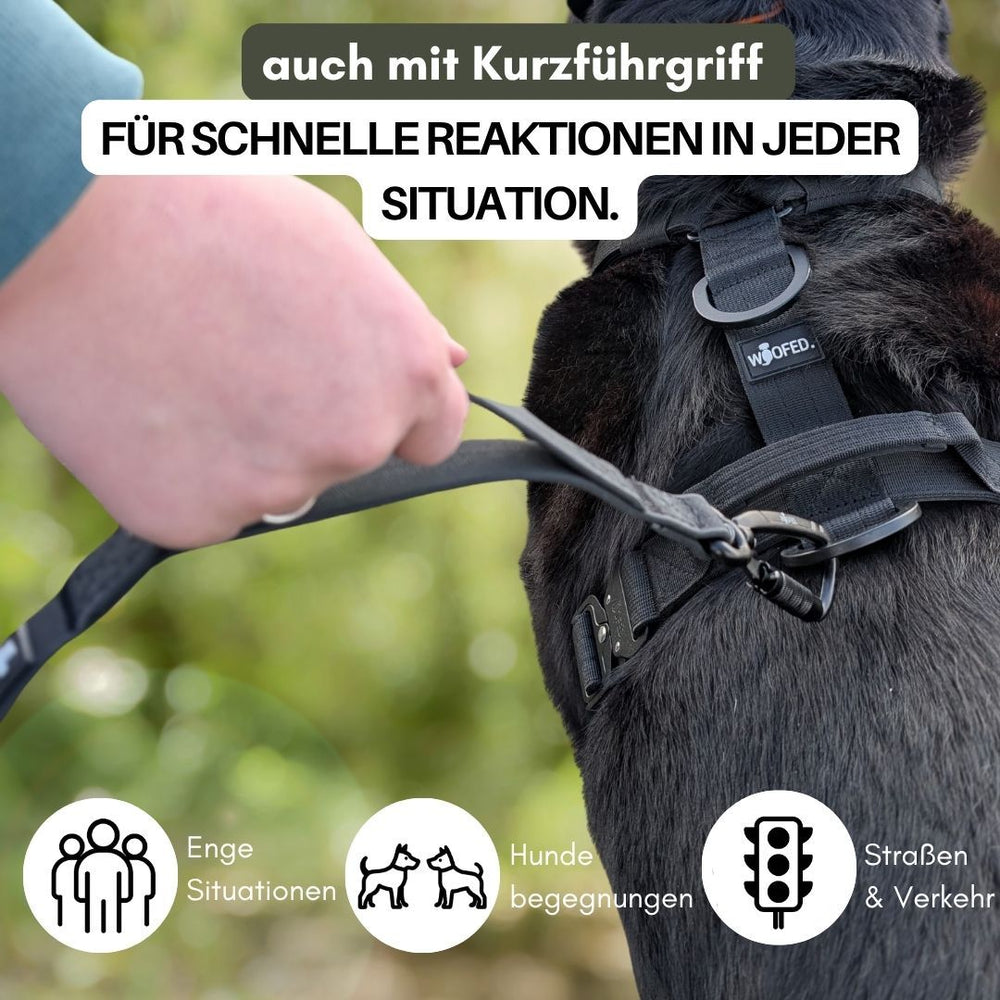 Hund mit Geschirr und WOOFLEX® Leine, sichere Haltung in Verkehr und Nähe zu anderen Hunden.