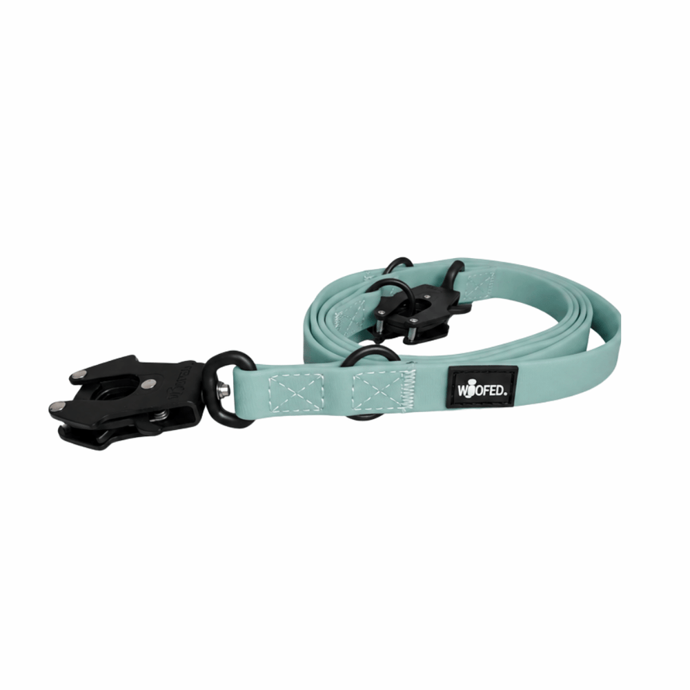 Hunde- oder Katzenleine WOOFLEX® in mintgrün mit schwarzem Karabiner und stabilen Metallringen zur Befestigung.