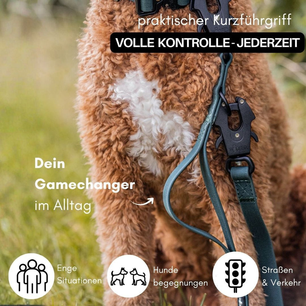 Verstellbare WOOFLEX® Führleine mit grünem Froschkarabiner für Hunde, ideal für täglichen Gebrauch und optimalen Komfort.