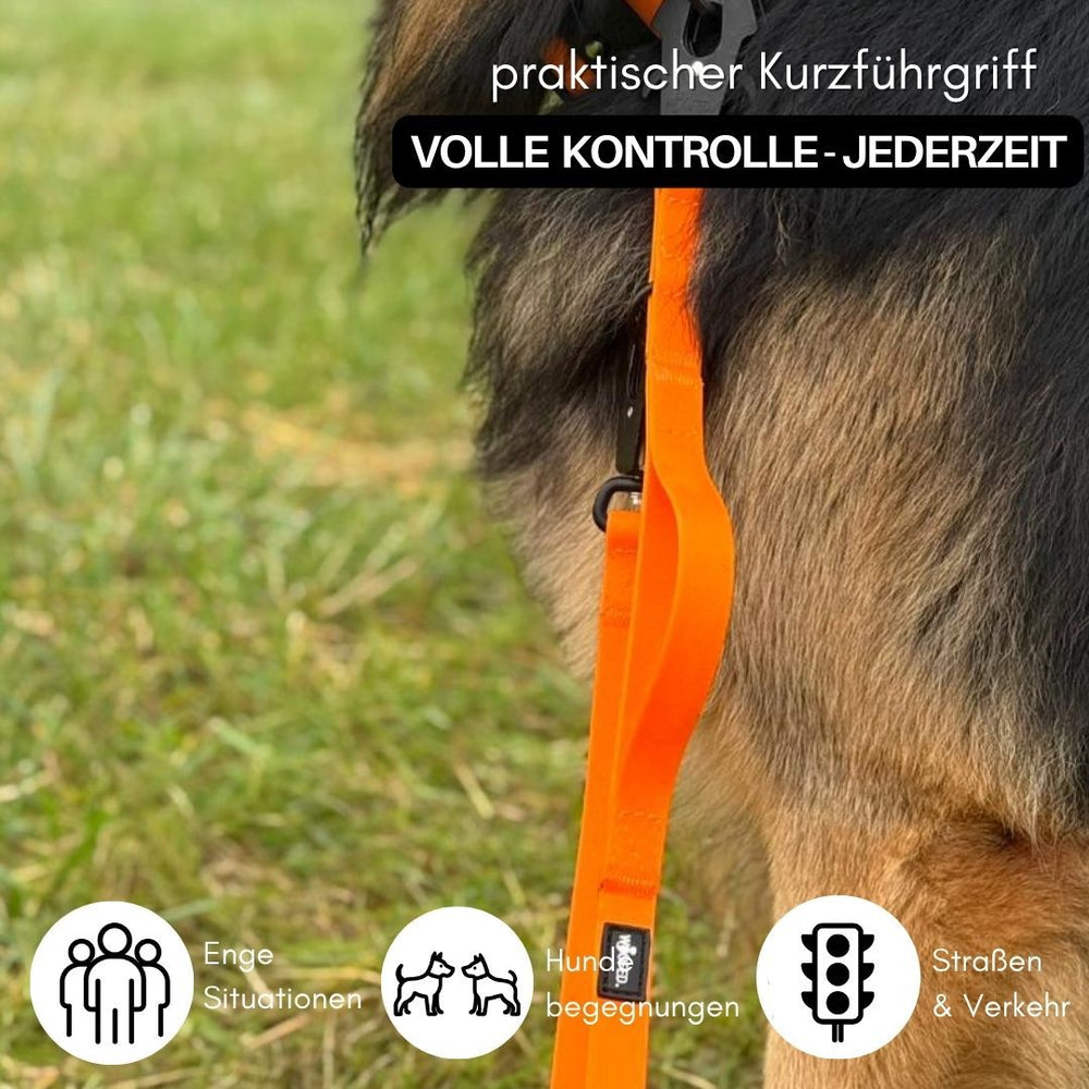 Verstellbare WOOFLEX® Führleine mit praktischem Froschkarabiner in leuchtendem Orange für sichere Hundekontrolle.