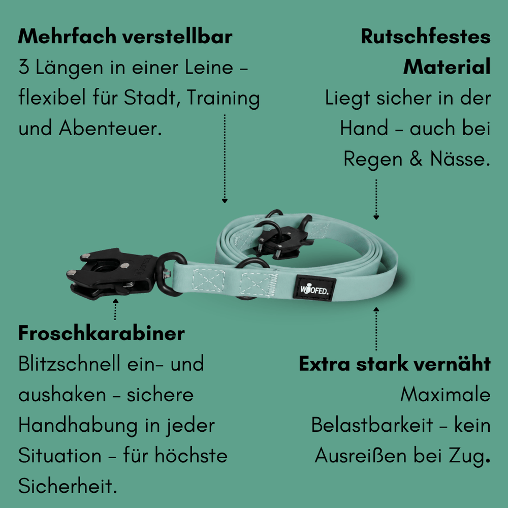 "Multifunktionale mintgrüne Hundeleine mit rutschfestem Material und Froschkarabiner, dreifach verstellbar für optimalen Halt."