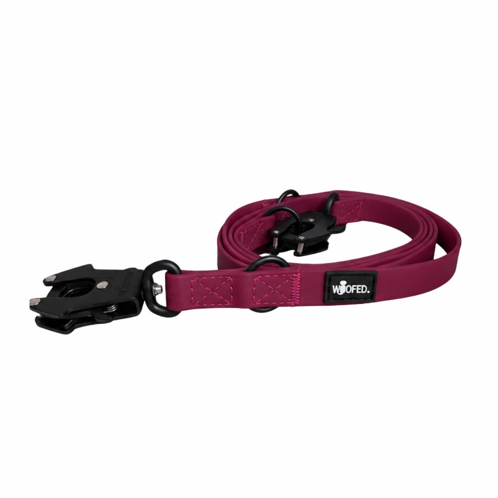 Hundeleine WOOFLEX® in Violett mit Froschkarabiner und zwei Ringen, robust und ideal für Hundebesitzer.