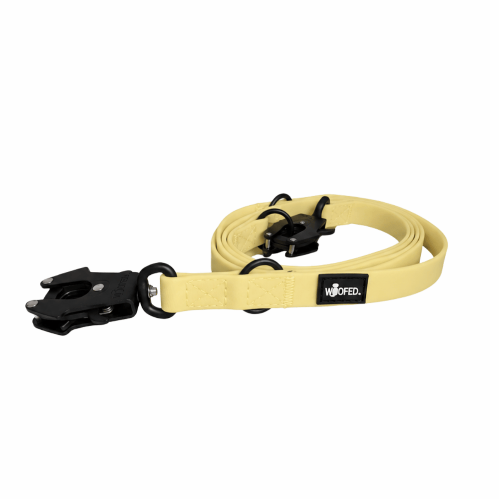 Gelbe WOOFLEX® Hundeleine mit Froschkarabiner, verstellbar und strapazierfähig, ideal für jeden Hundebesitzer.