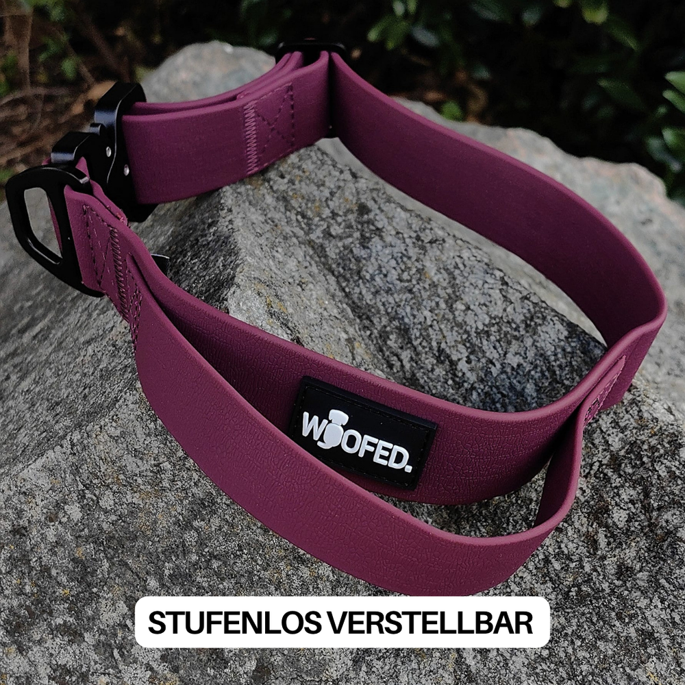 Verstellbares lila Halsband WOOFLEX® mit Griff und schwarzer Schnalle, auf einem Stein liegend.
