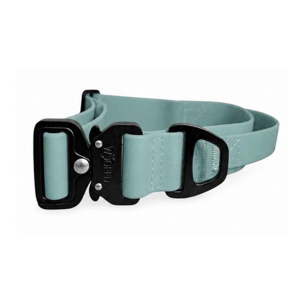 "Verstellbares WOOFLEX® Hundehalsband in mintgrün mit weicher Oberfläche und stabiler schwarzer Metallschnalle."