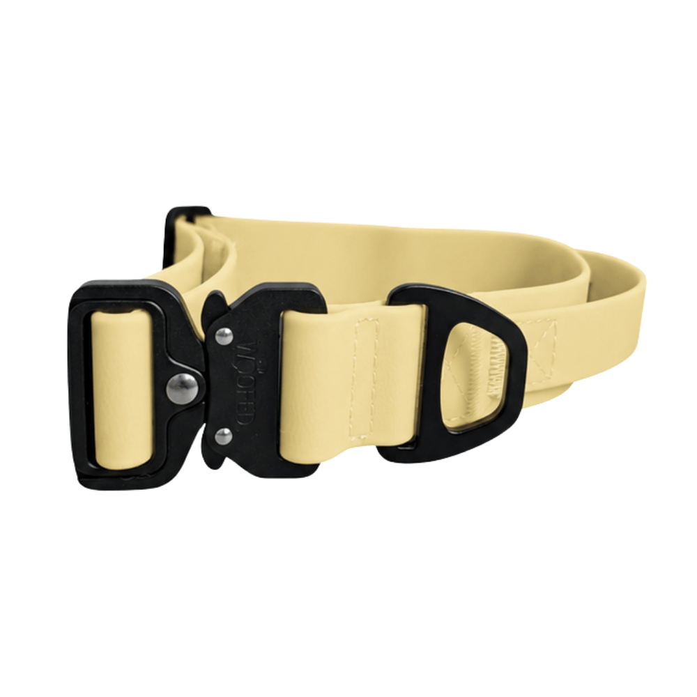 Verstellbares WOOFLEX® Halsband in Gelb mit schwarzer Schnalle, robust und modern gestaltet, ideal für Hunde.