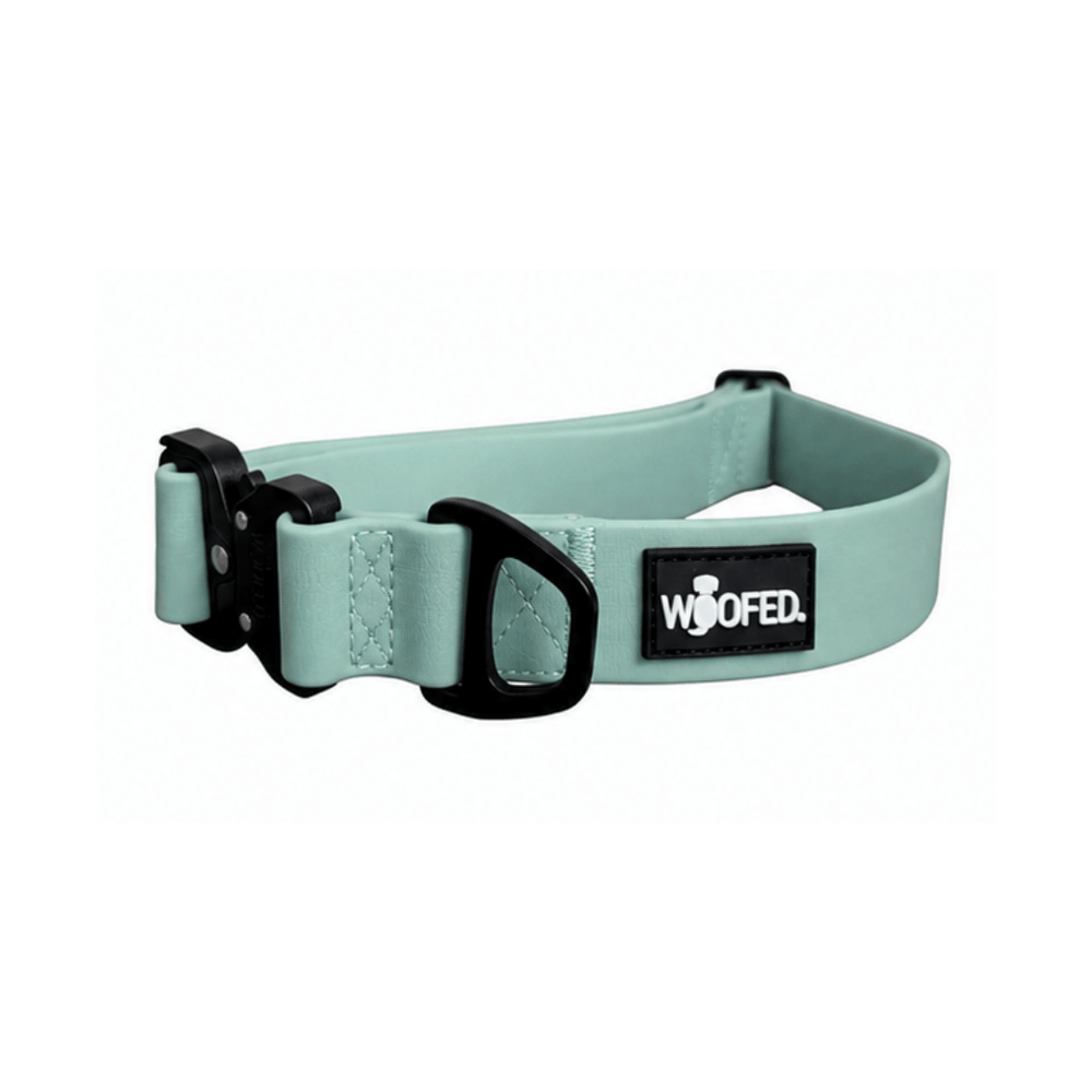 Verstellbares WOOFLEX® Tactical Hundehalsband in mintgrün, strapazierfähig mit robusten Schnallen und D-Ringen.