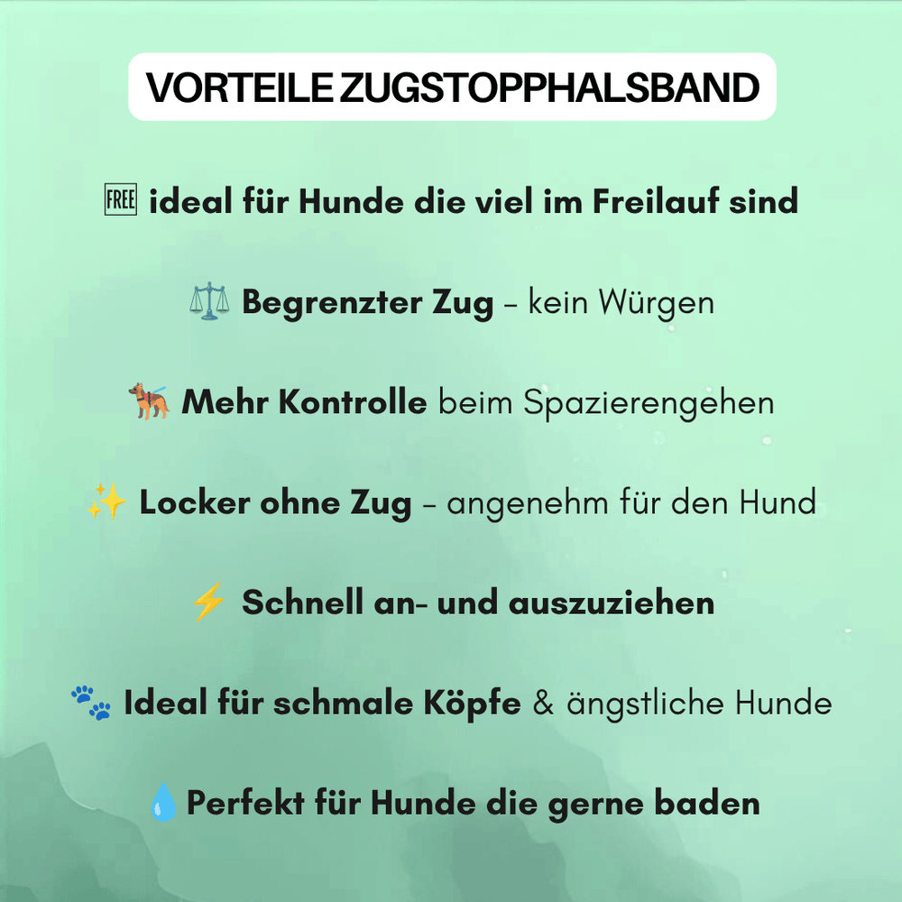 Zugstopphalsband WOOFLEX®: Vorteile für aktive Hunde, Kontrolle beim Gassi gehen, begrenzter Zug ohne Würgen.