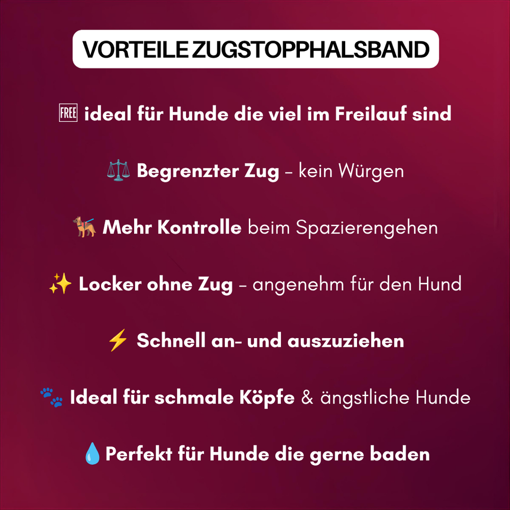 Vorteile des WOOFLEX® Zugstopphalsbands für Hunde: mehr Kontrolle, ideal für frei laufende Tiere, begrenzter Zug.