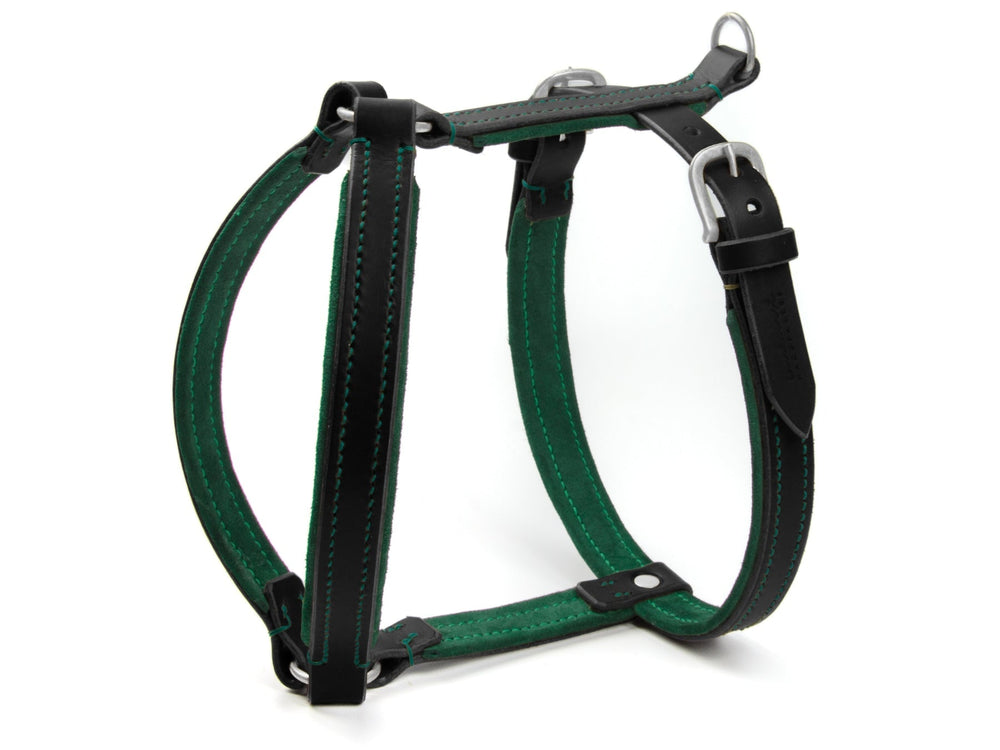 Hundegeschirr WILDFANG aus grünem und schwarzem Leder mit markanten Riemen und robusten Metallteilen.