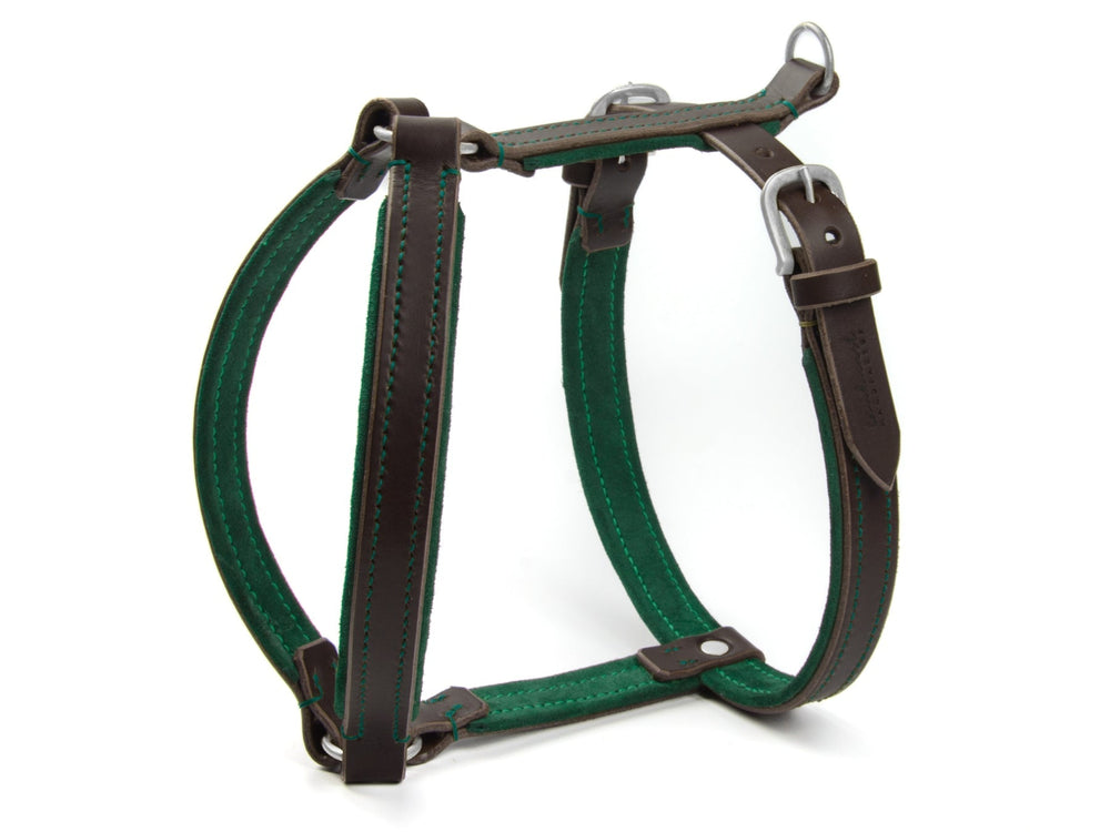 Braunes Ledergeschirr WILDFANG für Hunde mit grünen Details und ergonomischer Form, stabilen Beschlägen und sichtbaren Nähten.