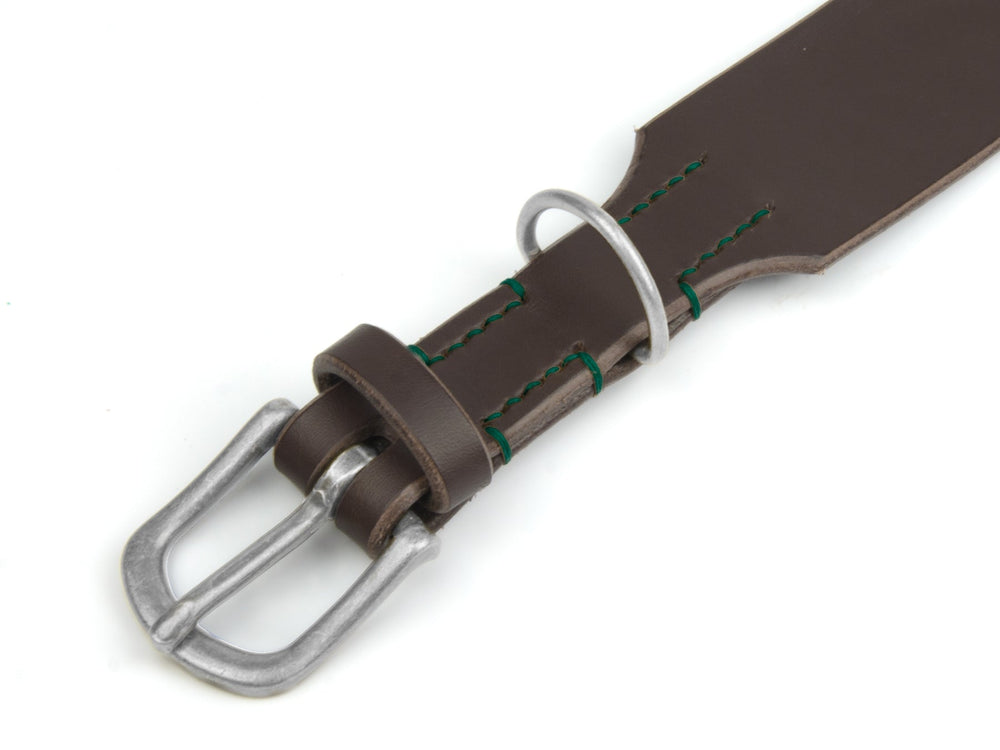 Braunes Lederhalsband "Waldgeist" mit silberner Schnalle und grüner Naht für stilbewusste Haustiere.