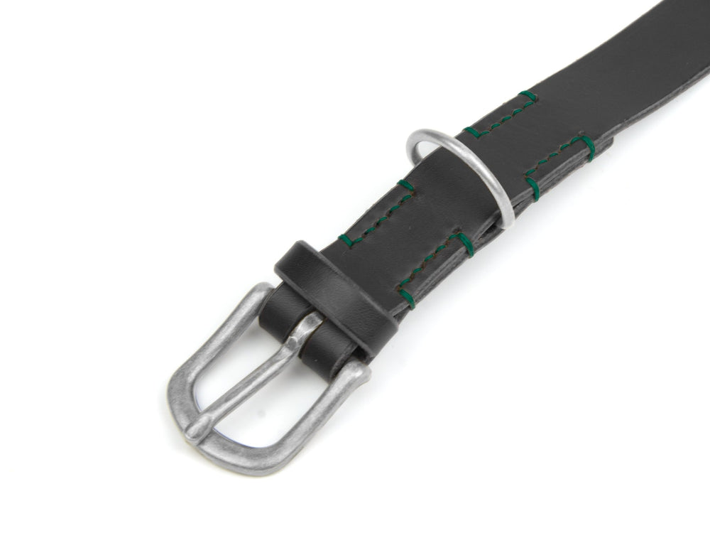Schwarzes Lederhalsband mit silberner Schnalle und grünen Nähten, perfekt für stilvolle Hunde.