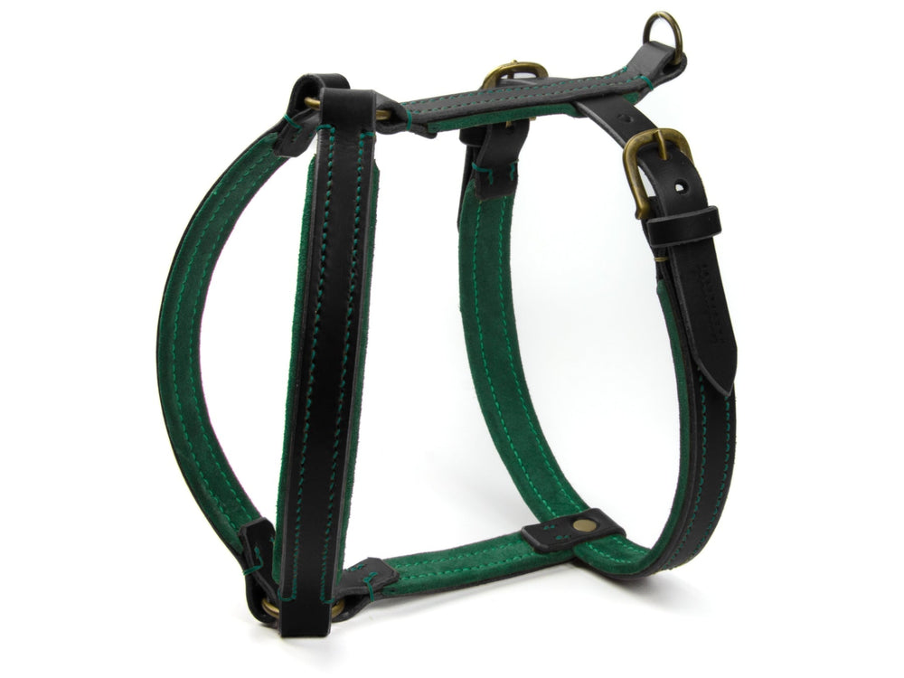 Schwarzes und grünes Lederhundegeschirr WILDFANG mit verstellbaren Riemen und goldenen Schnallen, robust verarbeitet.