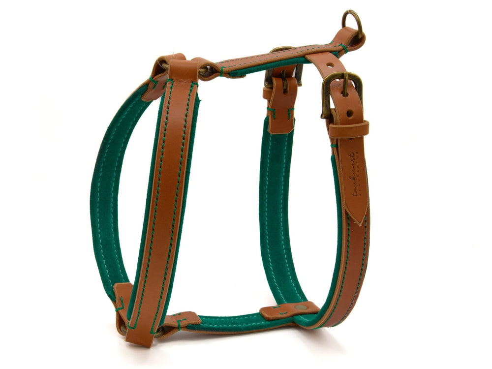 "Hundegeschirr WILDFANG aus braunem Leder und türkisem Stoff mit gepolsterten Gurten und kontrastierenden Nähten."