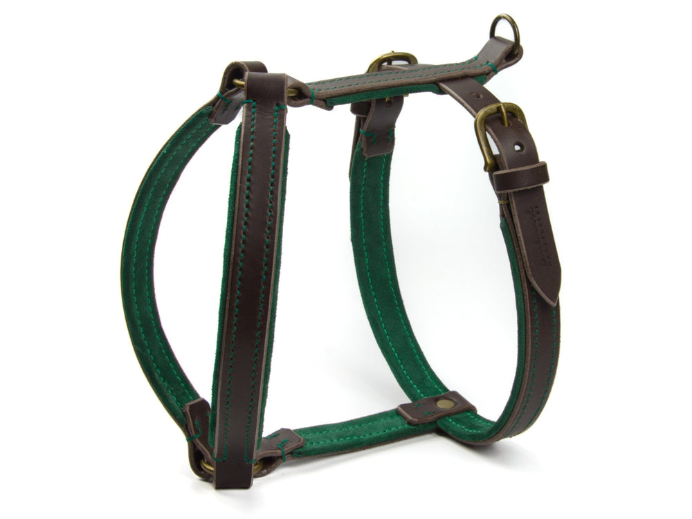 Braunes und grünes Lederhundegeschirr WILDFANG mit robuster Verarbeitung und ergonomischer Form für besten Komfort.