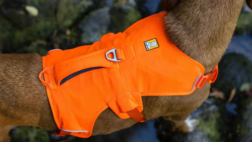 Oranges Web Master™ Hundegeschirr mit Griff, reflektierend, gepolstert und verstellbar, ideal für komfortable Spaziergänge.