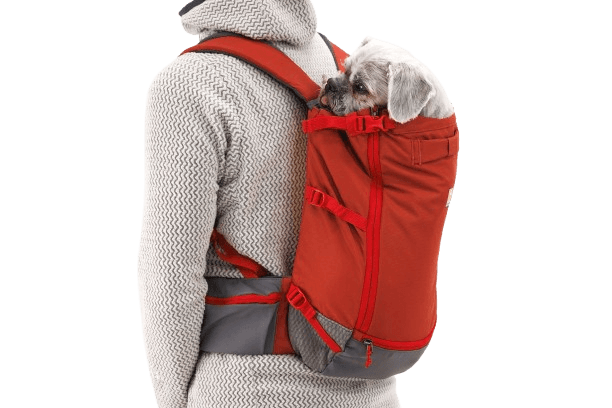 Person trägt roten Hunde-Rucksack mit kleinem Hund, ideal für Ausflüge und Wanderungen mit Haustier.