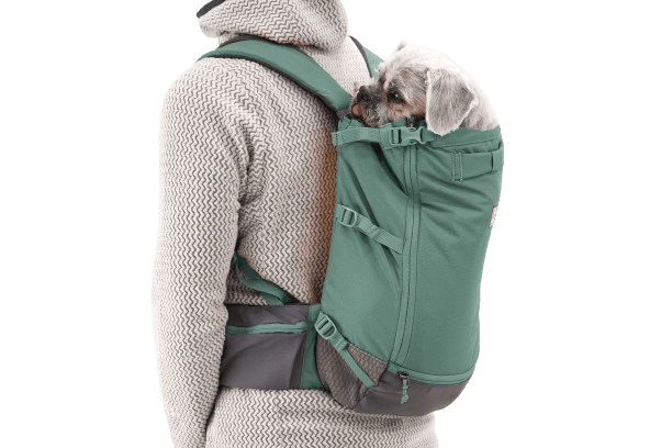 Hitch Hiker™ Hunde-Rucksacktrage in grün mit kleinem Hund, der neugierig hinausschaut, an der Person befestigt.